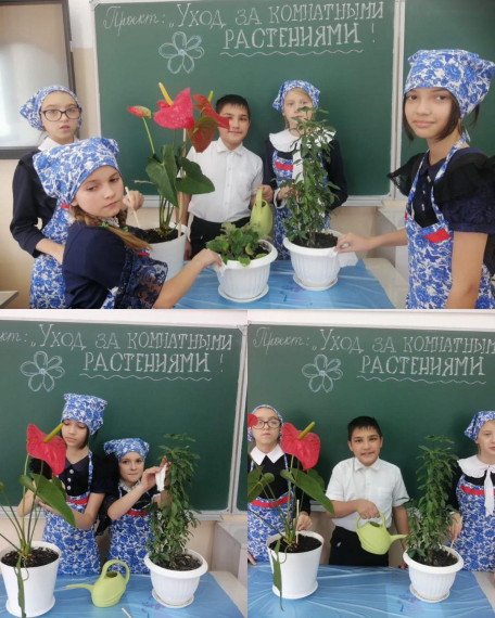Прошла защита проекта в 4 классе.